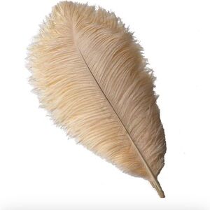 Sowder 10-12 inch Ostrich Feathers Plume for Home Decoration. Pack of 10 pcs